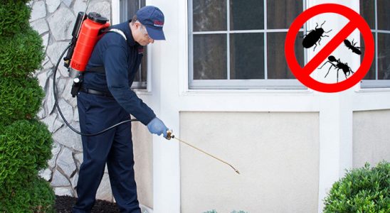 Kaynarca Gümüşkurt İlaçlama böcek ilaçlama ve haşere kontrolü — ilaclama-tr.com
